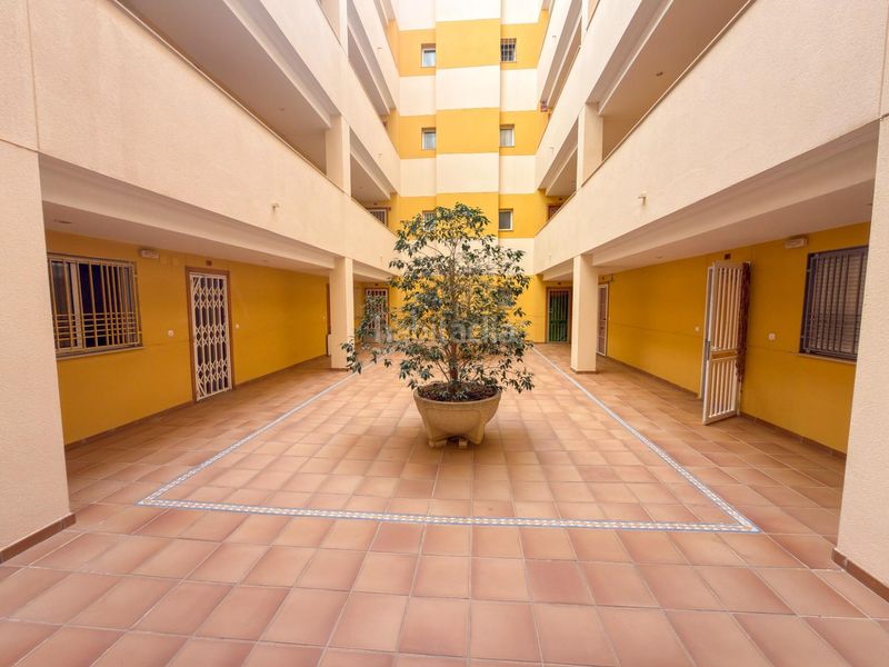 Foto f0a4487b-b05b-46ce-b15b-1c9779b119f1. Lloguer apartament a calle helena 2 a Torreblanca Torrevieja