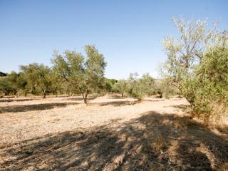 Maison  N/a. Gran finca rustica