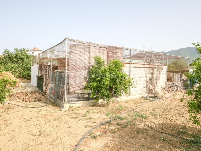 Foto 1511846e-9335-473c-9b6f-20f9ed38a39b. Casa magnifica finca en muy buena zona! en Centro Alhaurín el Grande