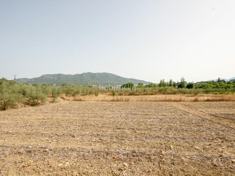 Foto bf15fe5e-5fe1-4853-ac78-023435f03945. Casa magnifica finca en muy buena zona! en Centro Alhaurín el Grande