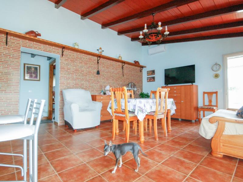 Foto fdd9c1ec-8b67-4b12-a5f7-c066edb51814. Casa magnifica finca en muy buena zona! en Centro Alhaurín el Grande