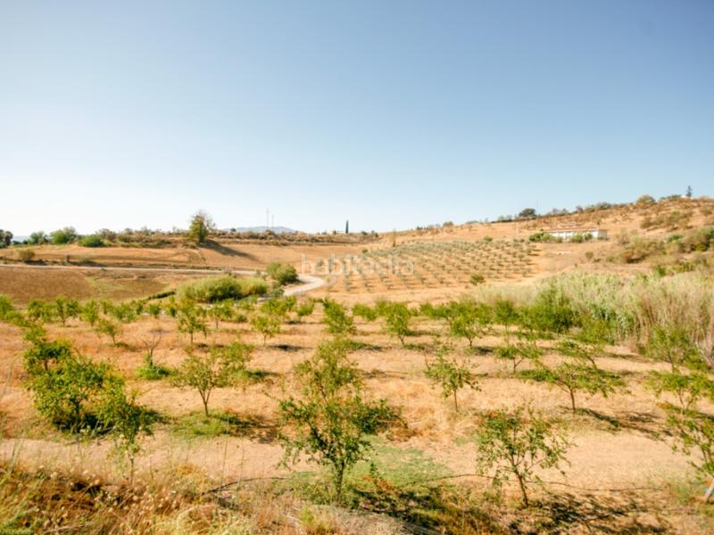 Foto 04ab7ef0-2c14-47e9-a86f-ce5b3babe788. Casa a Pizarra