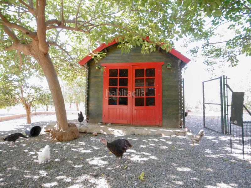 Foto 1737edbc-09bb-44af-9d0e-b33ae031ede0. Casa a Pizarra