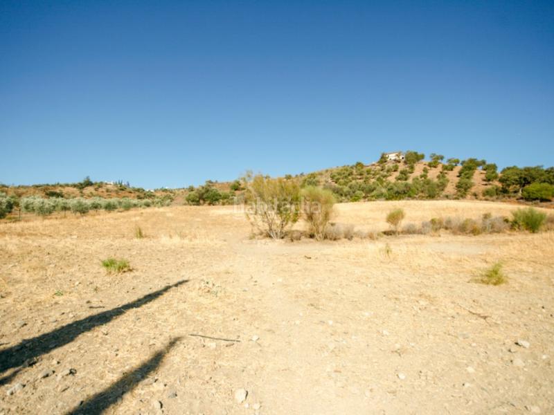 Foto 5b45f8de-a207-41cd-b89e-a249f09224ec. Casa a Pizarra