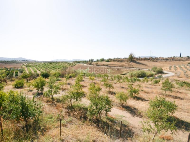 Foto 95f77f33-acaf-430d-af3c-9cb8bb41f49d. Casa a Pizarra