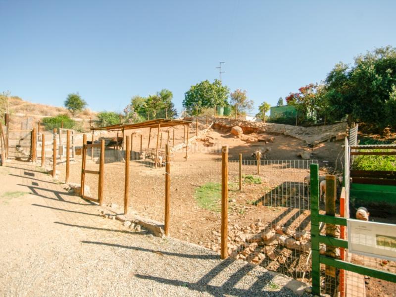 Foto a1d2865e-24c9-437f-81ae-88c2055c252b. Casa a Pizarra