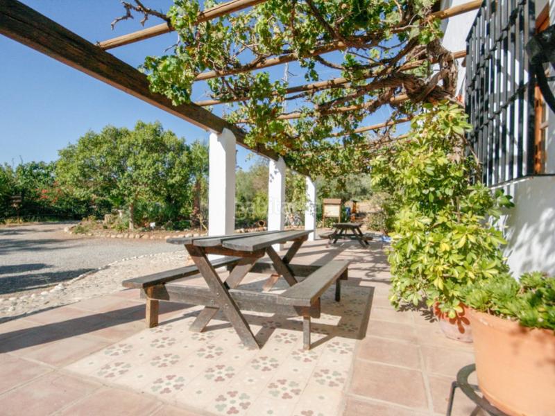 Foto b21e2aec-8f22-4ad3-a82d-8d686f181a07. Casa a Pizarra