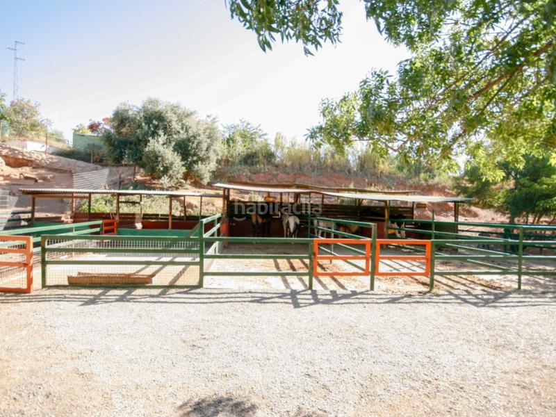 Foto fd345f91-7b26-4f55-b377-60a87e8a9747. Casa a Pizarra