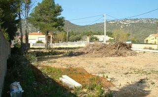 Terreny residencial a Montmell (El)