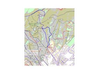Terreno residencial en Cabrils. Terreno agrícola de 30.000m con pinar maderable en cabrils, junt