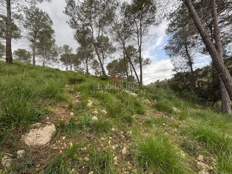 Foto 4a6479d5-b3f7-4055-a3f6-d237515c058c. Terreny residencial a Canyelles