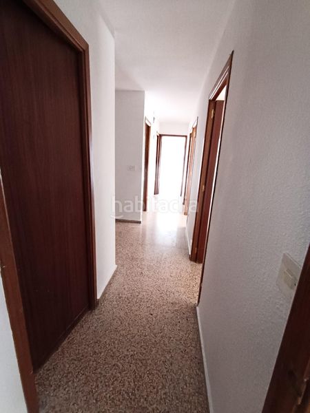 Foto c6bc5108-a741-439f-8bed-8e859cd3d224. Pis a Babel Alicante