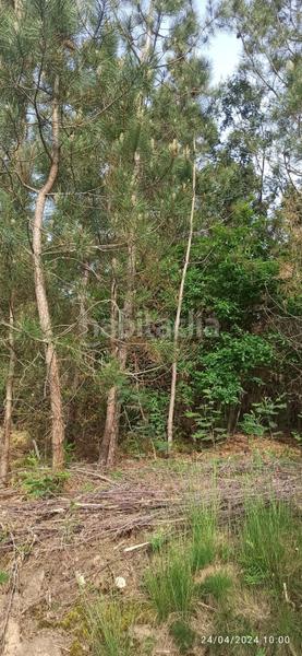 Foto d188ad83-ba5f-4144-a762-0b0eef760714. Terreno residencial en ou-0215 101 en Toén