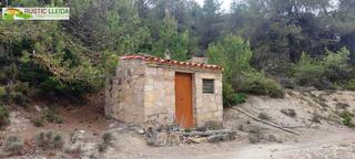 Finca rústica a Santa Coloma de Queralt. Finca de 4 ha. 2 ha. de cultivo y 2 ha. de bosque en santa colom