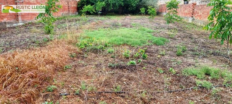 Foto 963f32ae-ced3-43b1-a111-522e8e816561. Locale commerciale in Santa Coloma de Queralt