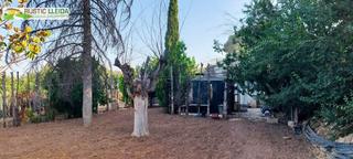Finca rústica a Juneda. Finca de riego de unos 4.000 m2 con casita agrícola de unos 30 m