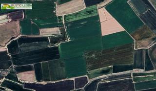 Finca rústica a Vila-sana. Finca de regadio de unas 20 ha con almacenes y casa, en los alre