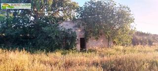 Finca rústica a Arbeca. Terreno de unos 2.000 m2 con cabaña de unos 19 m2, en los alrede