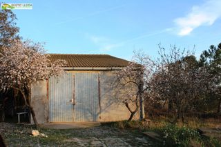 Local Comercial en Puiggròs. Almacén con finca de regadío de 11.000 m2.