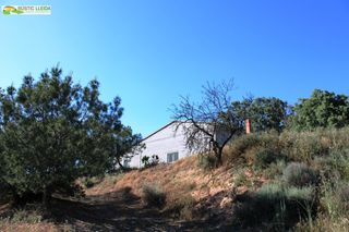 Local Comercial en Puiggròs. Almacén con finca de regadío de 11.000 m2.