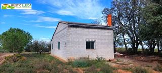 Locale commerciale in Puiggròs. Finca de regadío de 11.000 m2 con almacén.