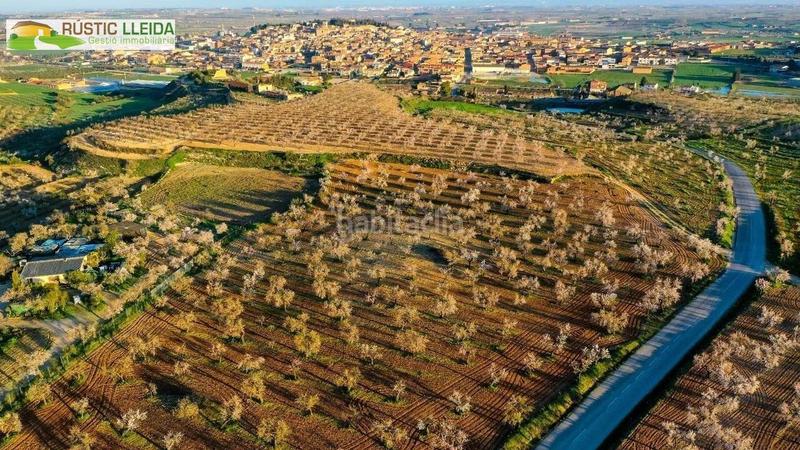 Foto 821beda5-2391-4608-a67b-08da23dc1c87. Casa amplia casa con terraza . en Arbeca