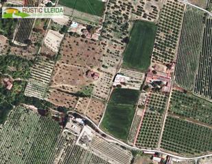 Local Comercial a Borges Blanques (Les). Finca rústica de unos 5.500 m2 con almacén de unos 320 m2 en les