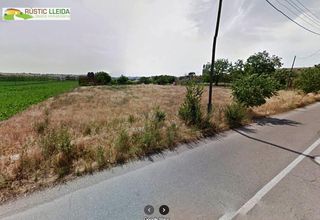 Finca rústica en Mollerussa. Finca rústica de regadío en mollerussa  2.152 m2 a solo 2 km del
