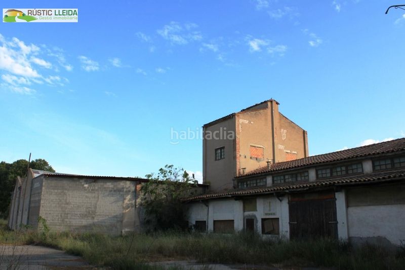Foto 8275aa45-d9c2-4ca8-ab1f-546df41330d0. Nau industrial a Mollerussa