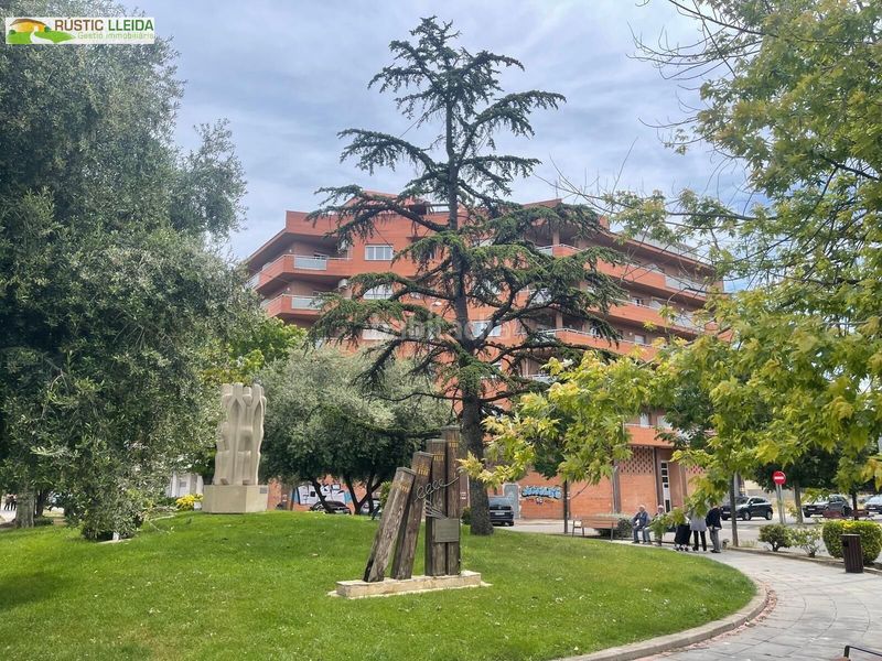 Foto e4b63f91-c1c1-450c-b43a-84bcd7f6a762. Pis amb calefacció a Mollerussa