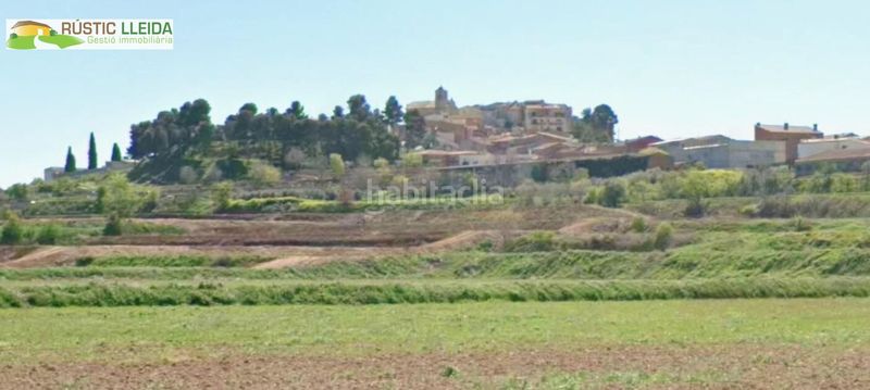 Foto 2b8b2810-e2d5-436c-bf6b-e31d20a181c2. Finca rústica a Puiggròs