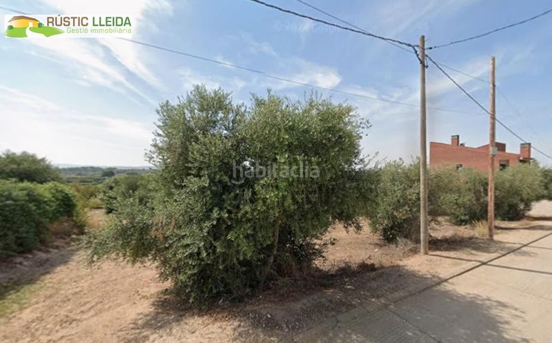 Foto 51ce2c55-26f5-4e51-a17d-97b2e9e201ff. Finca rústica a Puiggròs