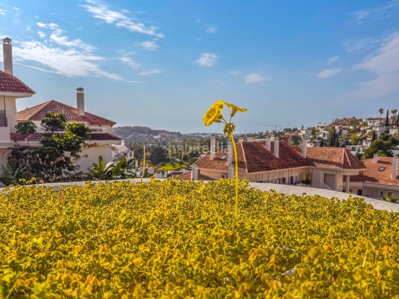 Foto bd993bc2-d917-451c-b9a4-b4912d4c9997. Apartament a calle aries s/n a Los Naranjos Marbella