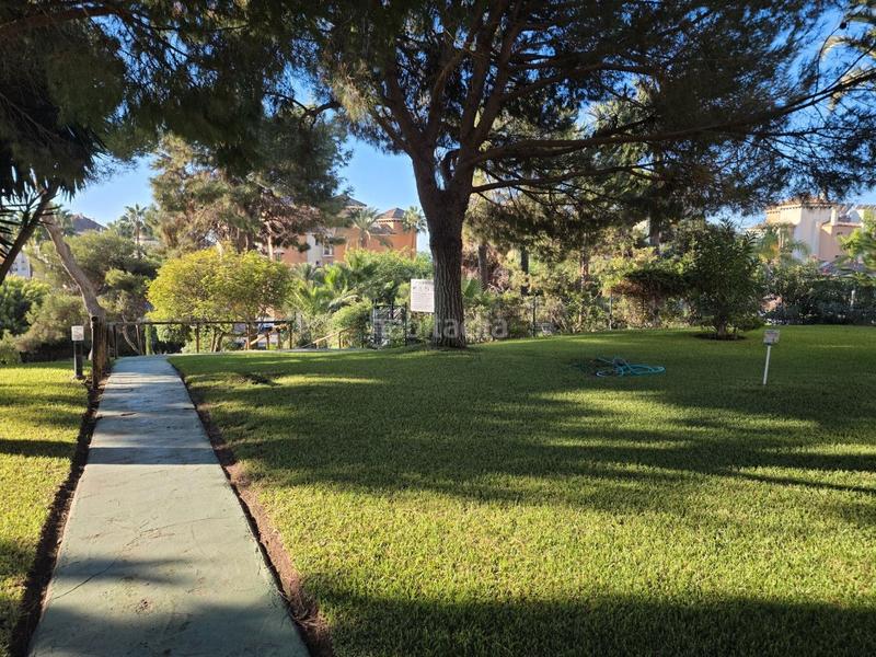 Foto e03e0d64-fdb4-45f5-ae83-69b3854df77c. Estudio en Romana Playa Marbella