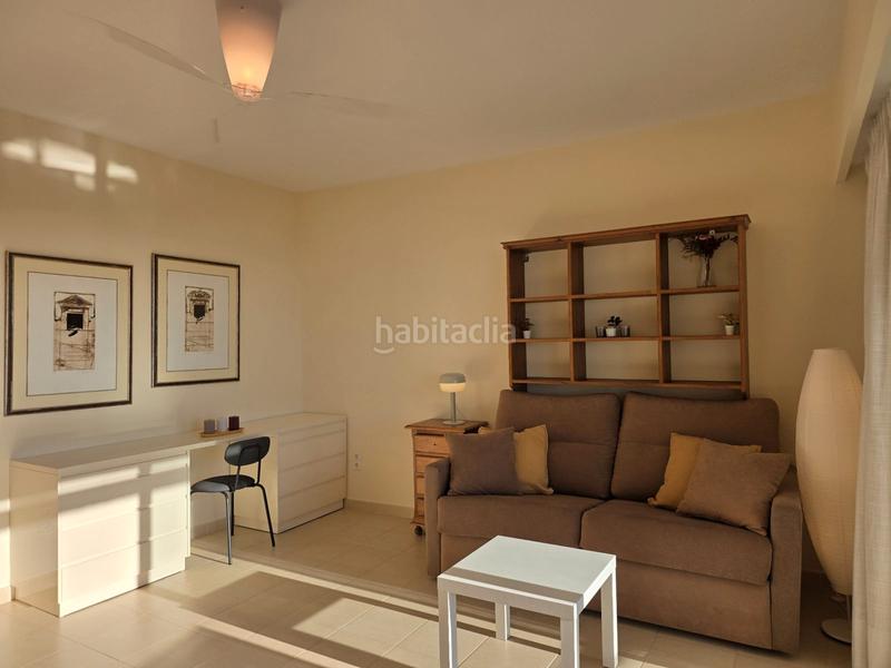 Foto 4992c4a7-0394-49f8-91d7-f7099bb95715. Monolocale con piscina in Romana Playa Marbella