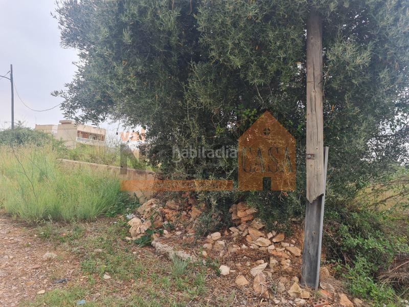 Foto c506e869-3cbd-4b63-8397-4b5f12fa9855. Terreno residencial en Picassent