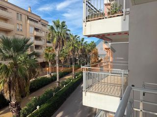 Rent Flat  Gaviotas