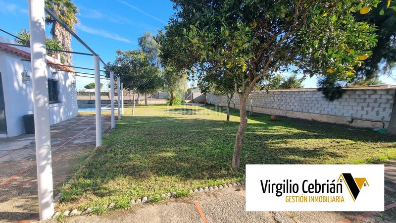 Foto 90d6d162-b84a-4604-ac0a-5777ea3d9987. Mas dans Chipiona norte Chipiona