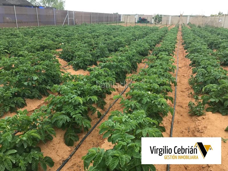 Foto 1ba80ea2-b84d-4b31-885f-a31caaf063ef. Casale in Centro Chipiona