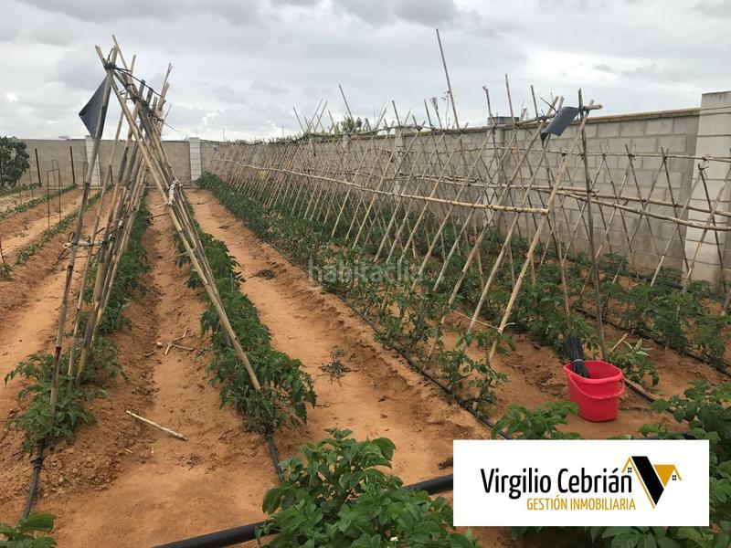 Foto 33fbeede-daad-405b-b175-d35b88f9d0ec. Casale in Centro Chipiona