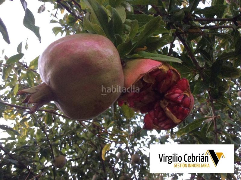 Foto 7bb06d7d-379b-40f4-a35d-41dcff31e5bb. Casale in Centro Chipiona