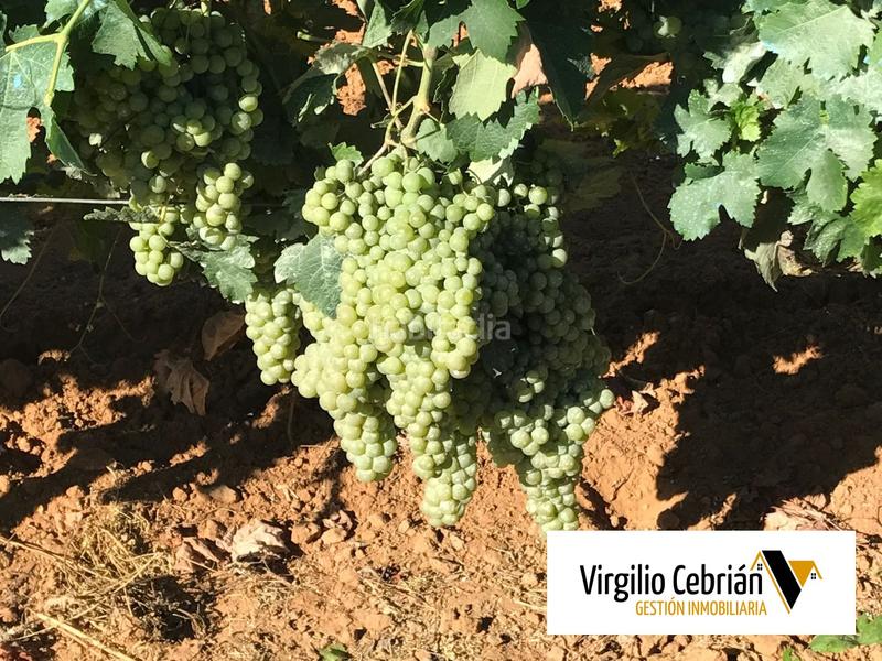 Foto 907663b1-8363-4218-8836-79966291115f. Casale in Centro Chipiona