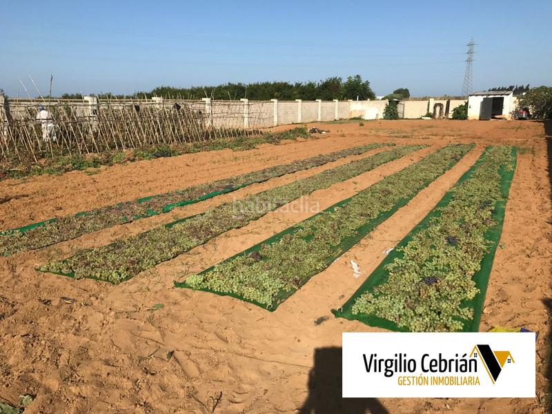 Foto b0cfb02f-b428-4f5a-b70b-a5ce7fc38ff0. Casale in Centro Chipiona