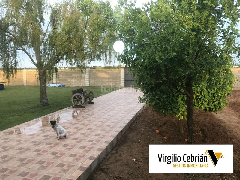 Foto b1439091-d4b0-4989-80be-e1a52e70f0fd. Casale in Centro Chipiona