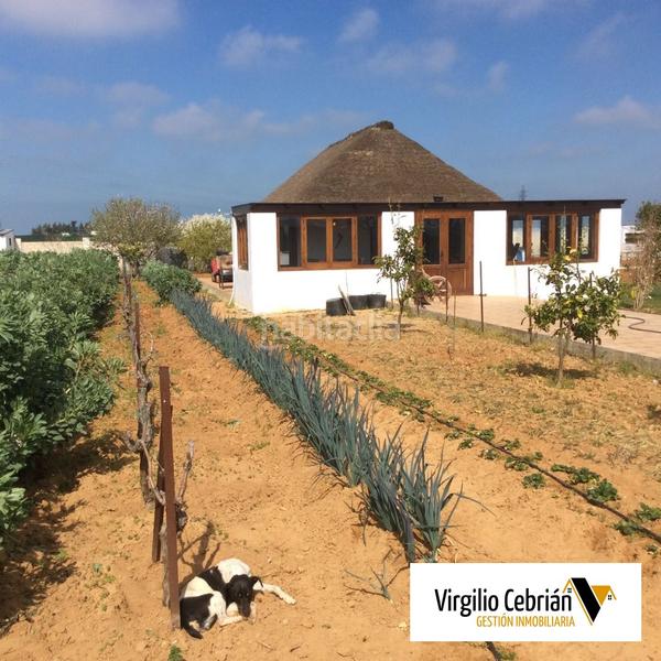 Foto beb810d2-9a3e-43df-8b91-003f4539361f. Casale in Centro Chipiona