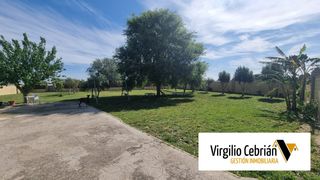 Bauernhof in Chipiona Norte. Finca rústica en venta  , chipiona norte.la parcela está totalme
