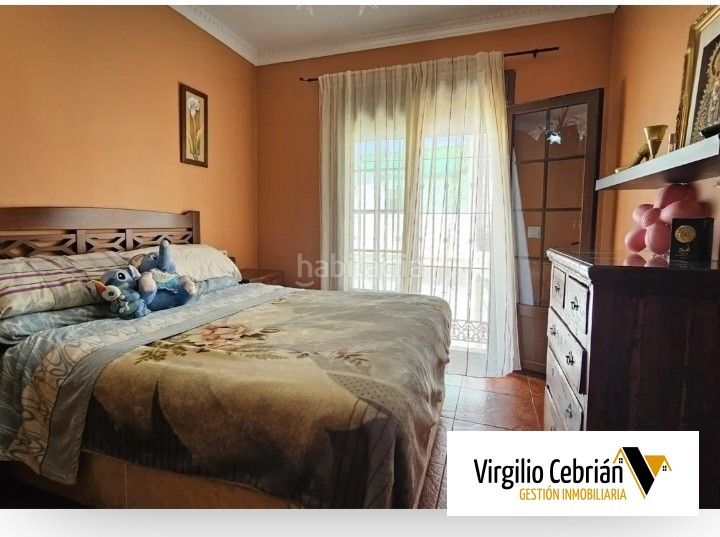 Foto b1c63296-6c7b-4160-adab-54cfed5b8866. Pis a Centro Chipiona