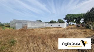 Masia a Las Tres Piedras - Costa Ballena