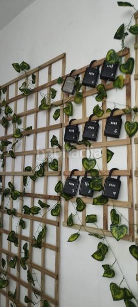 Foto 48f6d511-8728-4f14-90fa-7b6e7c070fa7. Flat in Alameda - Mentidero - Teatro Falla Cádiz