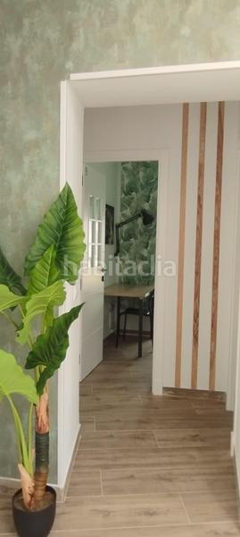 Foto a8368dbc-79a0-40fa-82d8-7c46cb5e41d4. Flat in Alameda - Mentidero - Teatro Falla Cádiz